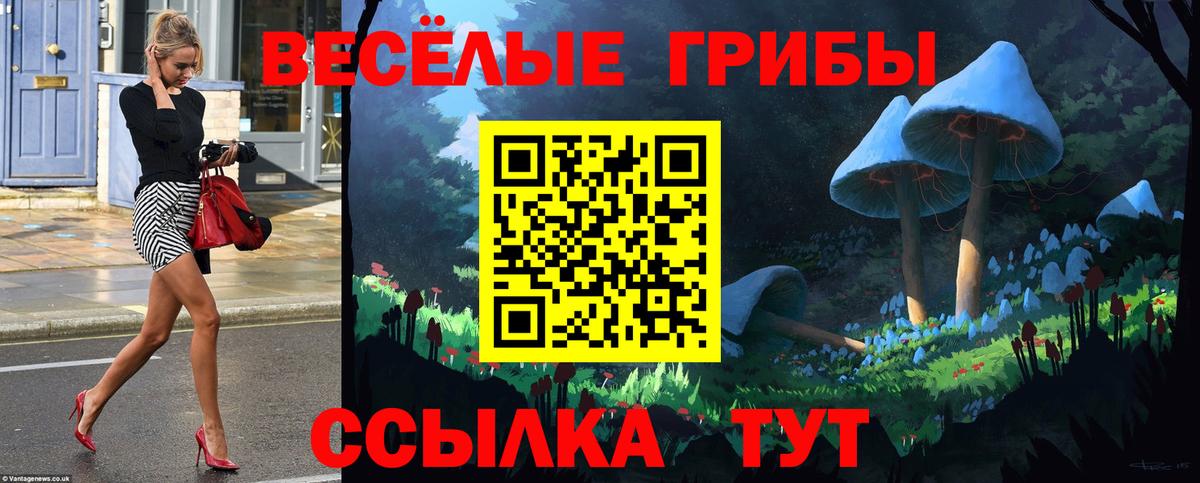 Галлюциногенные грибы мицелий  Вход с VPN  Галлюциногенные грибы прущие грибы  что такое наркотик  Семёнов 